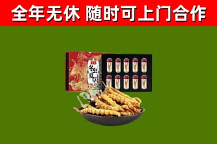 哈尔滨市回收冬虫夏草价格