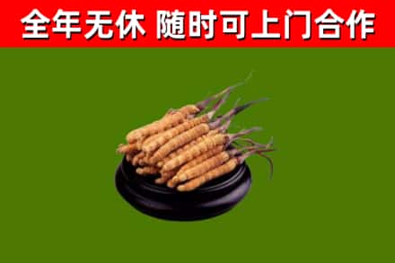 哈尔滨市烟酒回收冬虫夏草.jpg